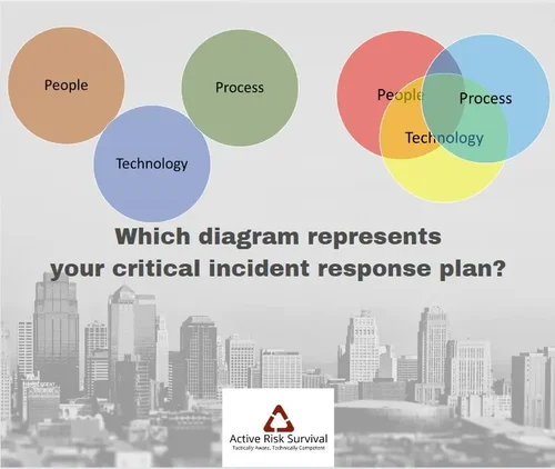 Active Risk Survival Crisis Response Diagram